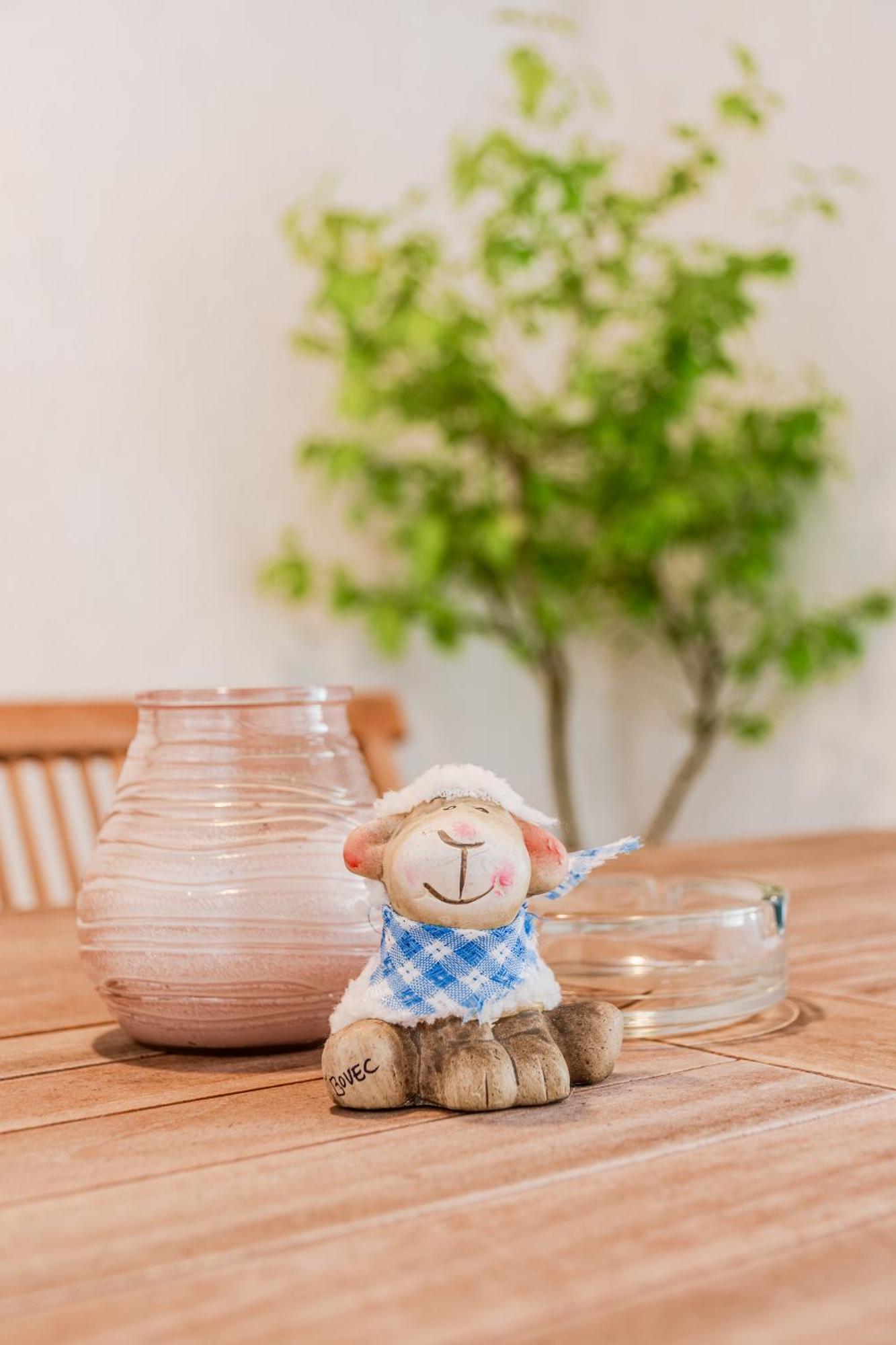 Apartmaji Mausi 博维茨 外观 照片